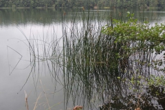 dscn1529