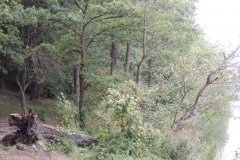 dscn1531