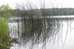 dscn1532