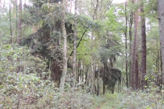 dscn1537