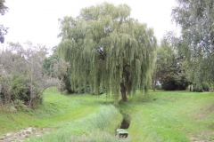 dscn1538