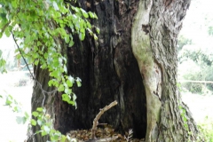 dscn3245