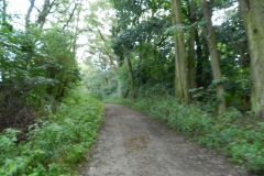 dscn3247