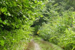dscn3248