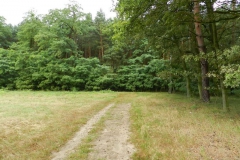 dscn3251