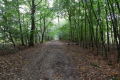dscn3252
