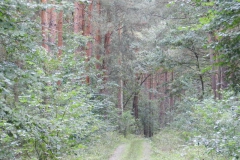 dscn3254