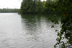dscn3256