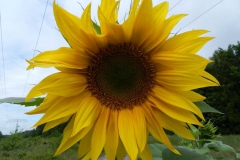 dscn3263