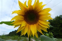 dscn3264