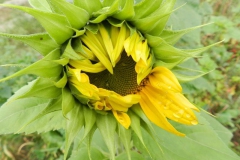 dscn3265