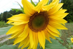 dscn3266