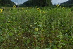 dscn3267