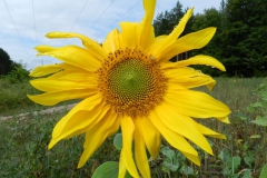 dscn3268