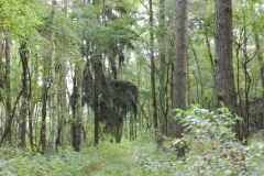 dscn3270