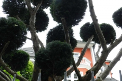dscn3271