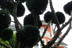dscn3272
