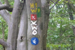 p1010034