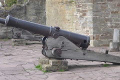 p1010087