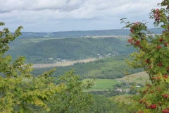 p1010139