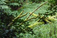p1010147