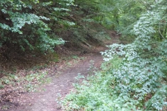 p1010149