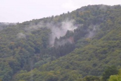 p1000841