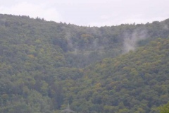 p1000843