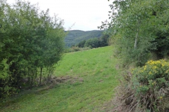 p1000848