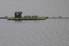 p1000867