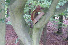 p1000894