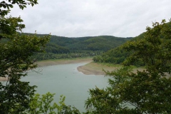 p1000898