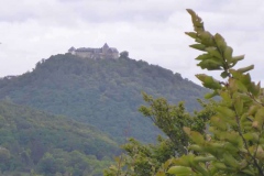 p1000905