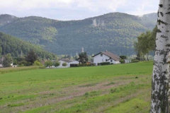 p1000932
