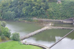 p1000950