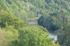 p1000953
