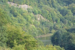 p1000956