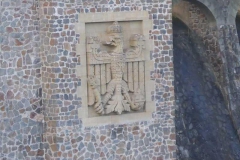 p1000959