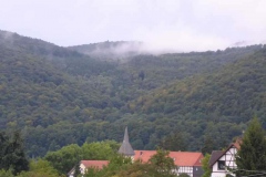 p1000967