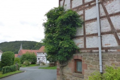 p1000996