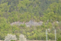 p1010460