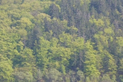 p1010462