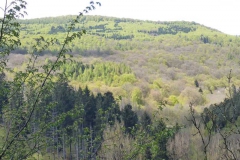p1010505