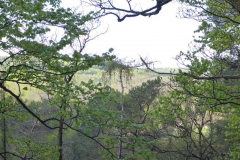 p1010509