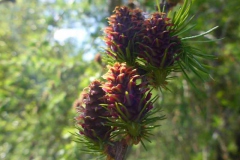 p1010514