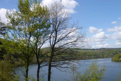 p1010496