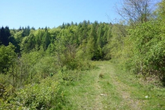 p1010669