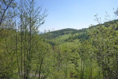 p1010667