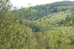 p1010668