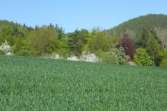 p1010699